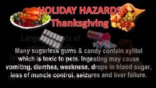 AMCofC thanksgiving hazards