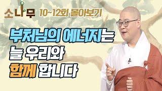 부처님의 에너지는 늘 우리와 함께 합니다 [광우스님 소나무 시즌2  몰아보기]