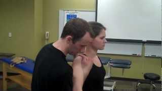 Shoulder Flexion with Posterior Tilt Assistance.