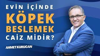 Evde Köpek Beslemek Caiz midir?  | AHMET KURUCAN