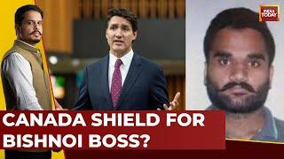 Canada Removes Goldy Brar From Wanted List, How Desperate is Justin Trudeau? | India-Canada Row