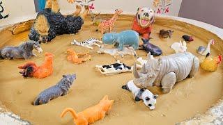 Unexpected Allies: Zoo-Farm-Jungle Friends Team Up for a Big Toddler Adventure!