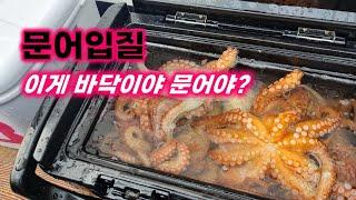 바닥과 문어 헷갈리는 당신.. 이 영상을 보시라.