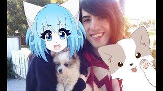 Our new Puppy! | Wolfychu