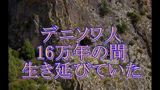 デニソワ人16万年の間生き延びていた