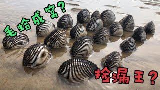 小倪入海口趕海成撿漏王，毛蛤開會備逮到了！ 【小倪趕海】