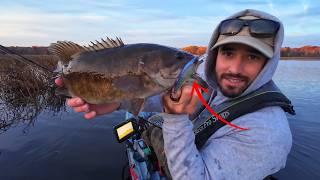 3 Fall Fishing Baits I Can't Live Without (In Action)