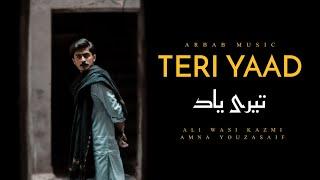 Ali Wasi Kazmi - Teri Yaad - Amna Youzasaif - FAN VIDEO (02)