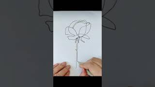 One line drawing rose