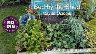 One bed – results of succession plantings all year