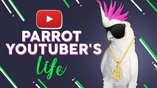 Ultimate Parrot Movie - Life of a YouTuber Parrot