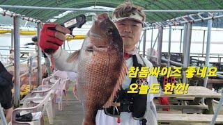 #바다좌대낚시 #fishing #백년좌대 #낚시 #삼길포항 #생활낚시 #우럭낚시  #참돔낚시 #당진바다낚시#서해바다좌대#당진바다좌대낚시#해상좌대낚시