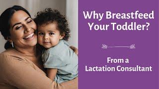 Why Breastfeed Your Toddler? The Benefits Of Prolonged Lactation. Nursing Your Toddler Is Natural