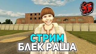 СТРИМ НА BLACK RUSSIA | ТРАТИМ МИЛЛИОНЫ + РОЗЫГРЫШИ ДОНАТА НА БЛЕК РАША!