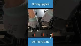 Server Dell Memory upgrade #asmr #computer #trick #server #shorts