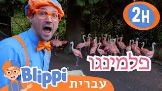 בגן החיות **At The Zoo** | טלוויזיה לילדים | בדוק את זה! תסתכל על זה! BLIPPI