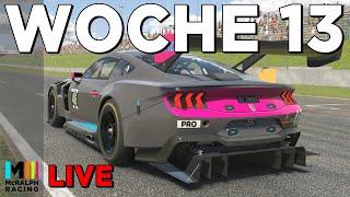 In die Woche 13 mit Mustang und Corvette! | Week 13 Update | iRacing