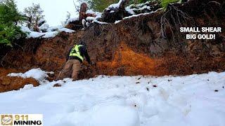 Panning Free Mill Gold From A Mineralized Shear Zone!