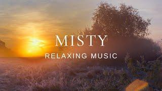 Peaceful Relaxing Guitar | Work Study Read Focus | Misty Morning