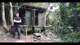 Tree House，在野外用最简单的工具建造树屋，接下来荒野独居生活