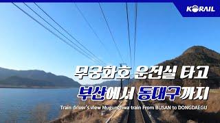 [한국철도 랜선여행] 무궁화호 운전실 타고 부산에서 동대구까지  │ KORAIL Train driver's view (From Busan to Dongdaegu)