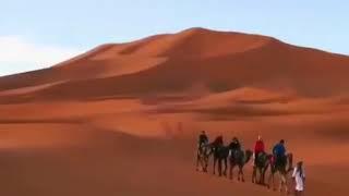 Desert of Morocco