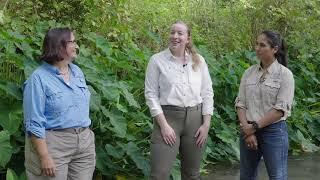 Managing Invasive Plants in Texas Rivers and Creeks: Arundo and Elephant Ear