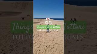 Tottori Sand Dunes | 鳥取砂丘  Tottori, Japan | 鳥取 #shorts #japan #tottori #sanddunes