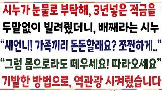 (반전신청사연)시누가 눈물로 부탁해 3천 빌려줬더니 못갚겠다는 시누 "아가씨 그럼 몸으로 떼우셔야죠?" 기발한 방법으로 역관광 시켜줬습니다[신청사연][사이다썰][사연라디오]