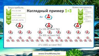 Презентация Dreamoney подробный маркетинг