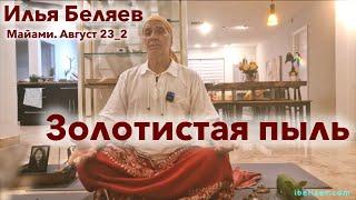 Илья Беляев  Золотистая пыль (Майами. Август 23_2)