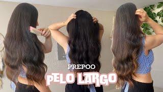 HAZ CRECER TU PELO CON ESTE PRE CHAMPÚ ! #pelo #cabello #peinados