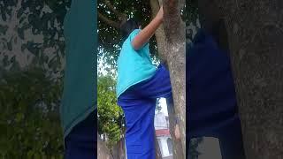 axl belajar naik pohon