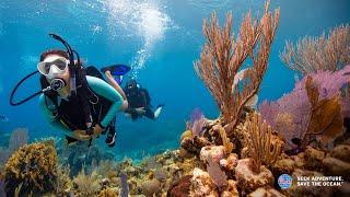 Learn to Scuba Dive - PADI Open Water Diver Course