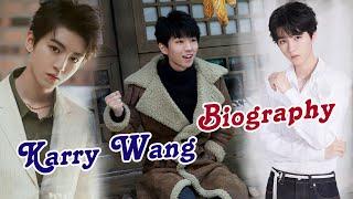 Brief Biography of Karry Wang (王俊凯) Chinese Actor