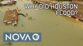 Why Did Houston Flood?