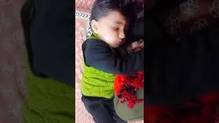 Mishka is sleeping ️️#sleeping#sleepmusic