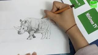 How to Draw a Rhino, Pencil Art, MitGreen TV