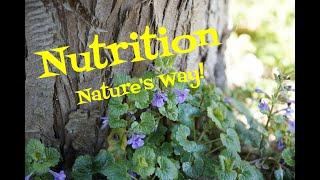 7 Common Wild Edible Plants: Nutrition Nature's Way!