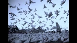 The Icicle Works - Birds Fly (Whisper To A Scream)