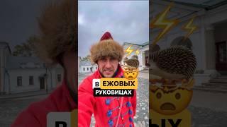 Откуда пошло выражение держать в ежовых рукавицах? Заметите ошибку? #история #поговорки