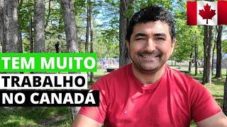 ONDE ESTÃO OS EMPREGOS NO CANADÁ? [ COMO MORAR NO CANADÁ]