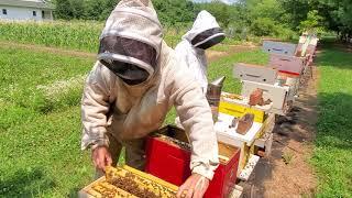 Teaching beekeeping basics