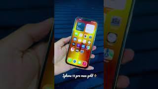 Iphone 13 pro max | Beauty and beast