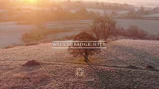 Siston Brook Vineyard x Forest Larder Willsbridge Hill Bristol October 2020