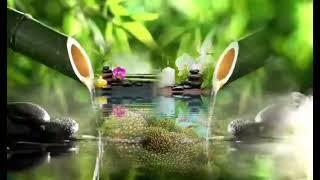 RELAXING PIANO MUSIC CALM,BAMBOO WATER FOUNTAIN  & WATER SOUND WITH BIRDS FOR MEDITATION FOR WH 5HRS