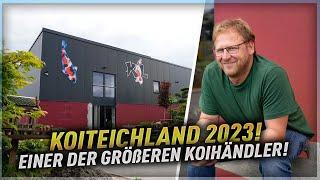 Einer der größeren Koihändler Deutschlands! Wir besuchen Kai Lorenz - Koiteichland 2023!