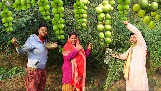 बेर की ऐसी रेसिपी जो आप देखते ही बनाएंगे आज इस रेसिपी को सब भूल चुके हैं लेकिन आप एक बार जरूर बनाएं