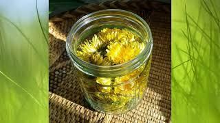Dandelion Wine by Ray Bradbury