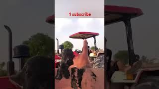 Nishu Bhai ki Masti  #nishudaswal #subscribe #shortsviral #viralshort #viralvideo #tech sujeet
